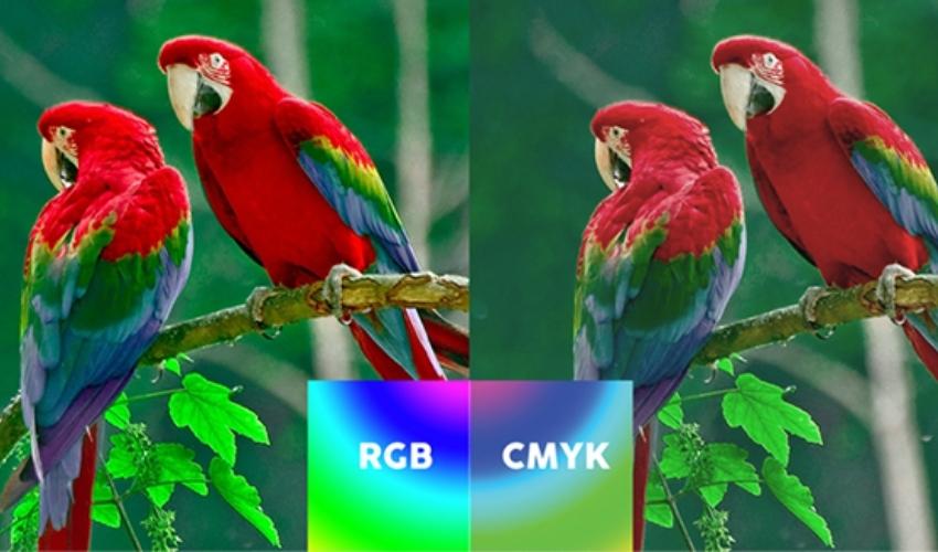 Sự khác biệt giữa hệ màu in CMYK và hệ màu in RGB