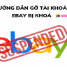 Gỡ tài khoản ebay bị khoá