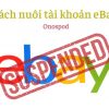 hướng dẫn cách nuôi tài khoản ebay