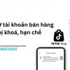 cach-go-tai-khoan-ban-hang-bi-dinh-chi-tren-tiktok